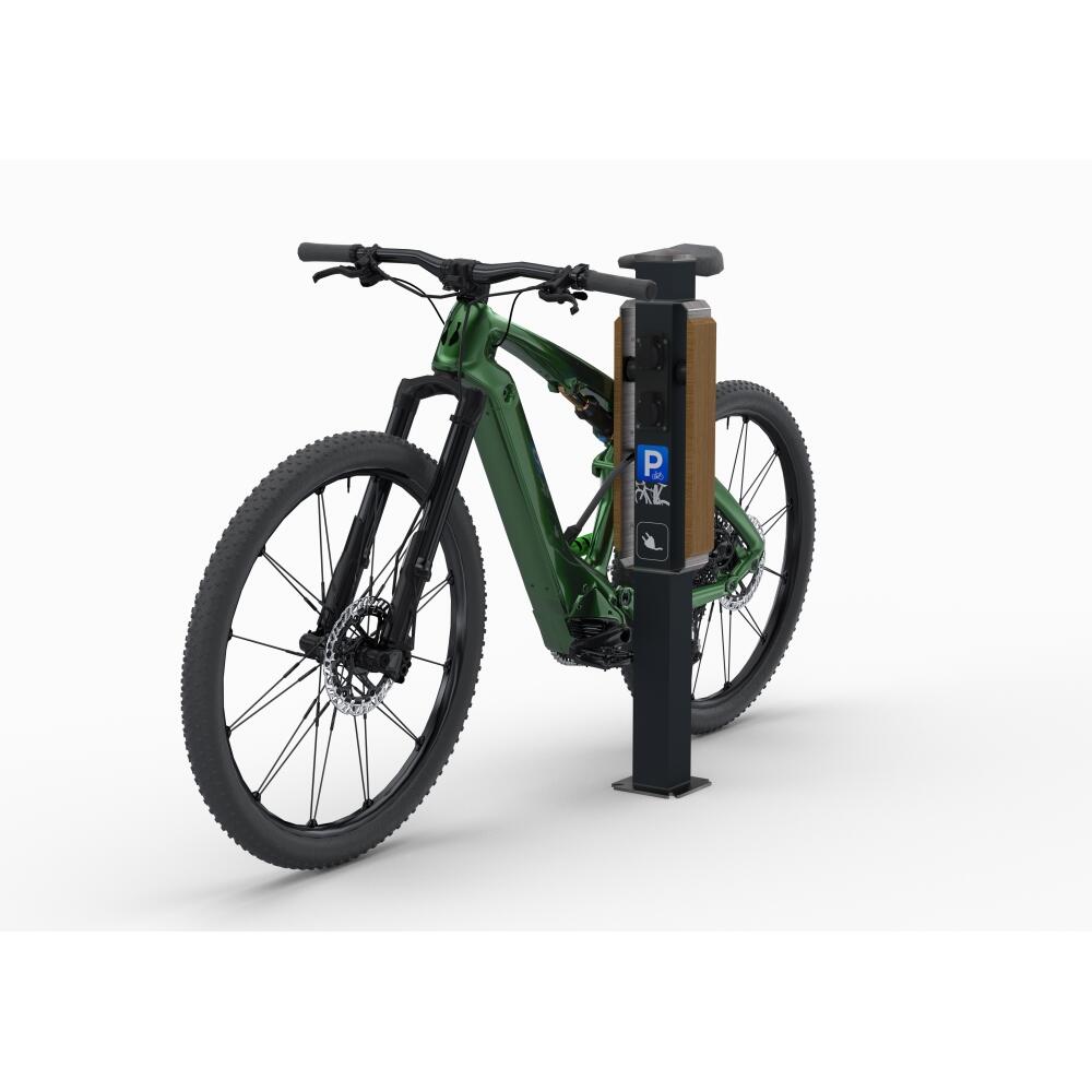 Lades&auml;ule &prime;VeloDock e-Bike&prime;