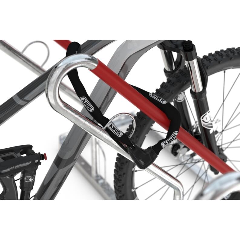 Anlehnparker ′XBF′ zweiseitig